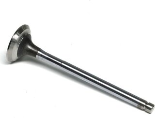 Gunes 4022