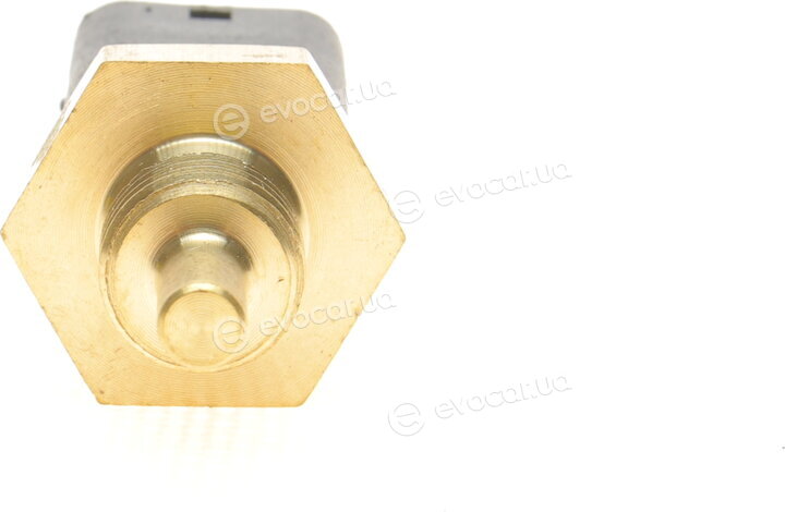 Magneti Marelli 171916011080