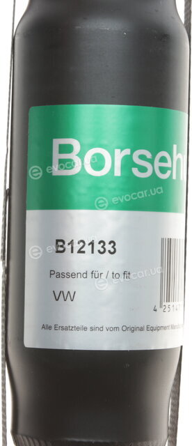 Borsehung B12133
