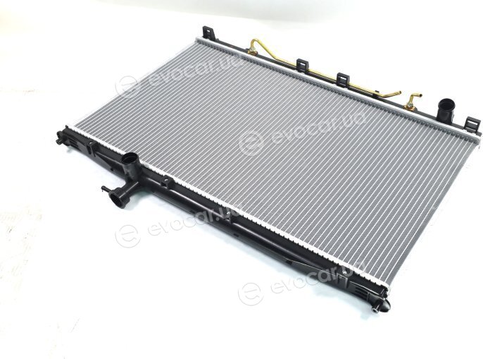 AVA HY2174