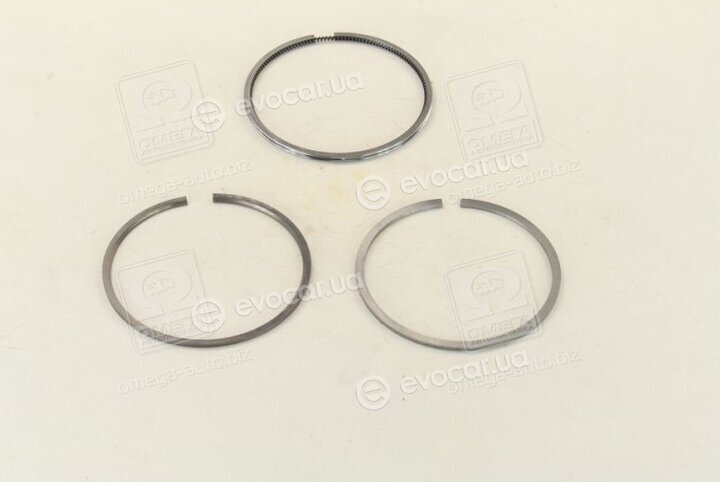 Mahle 021 93 N2