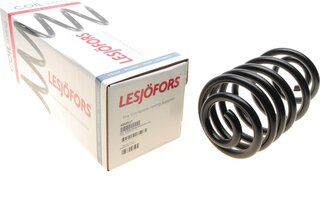 Lesjofors 4263517