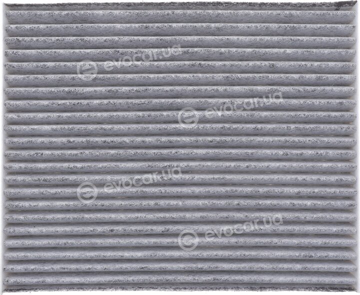 Solgy 104084