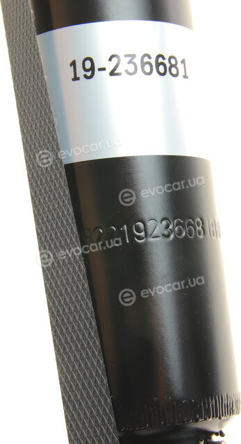 Bilstein 19-236681