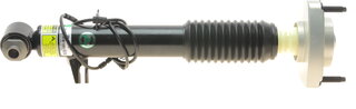 Arnott SK-3816