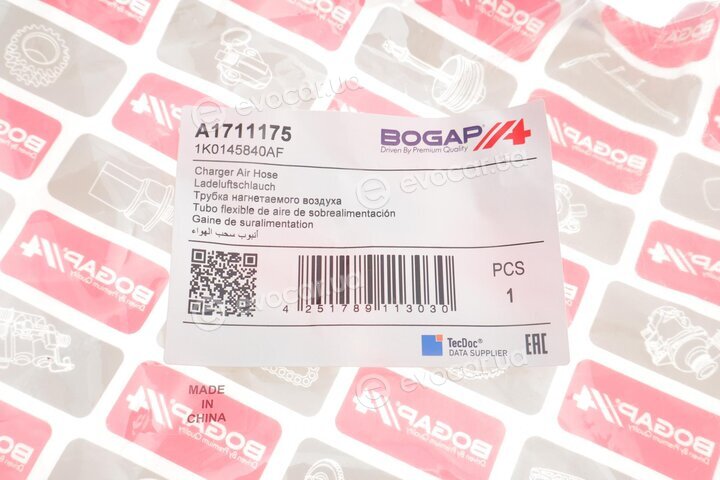 Bogap A1711175