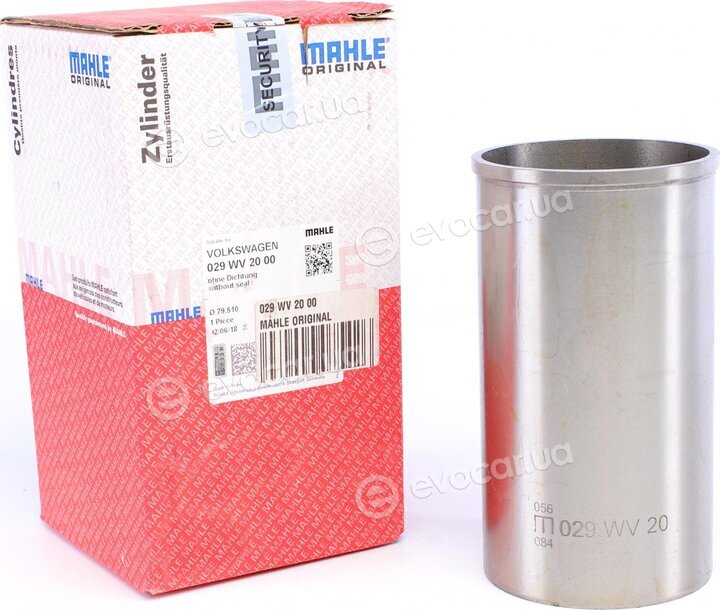 Mahle 029 WV 20 00