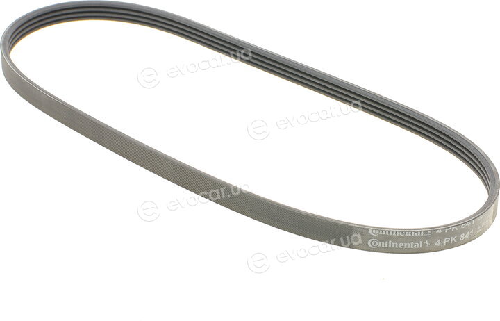 Continental 4PK841