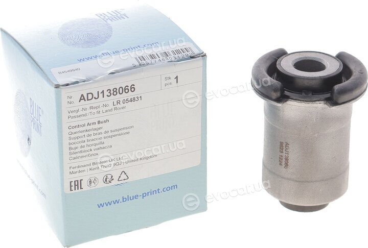 Blue Print ADJ138066