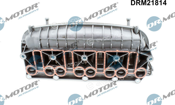 Dr. Motor DRM21814