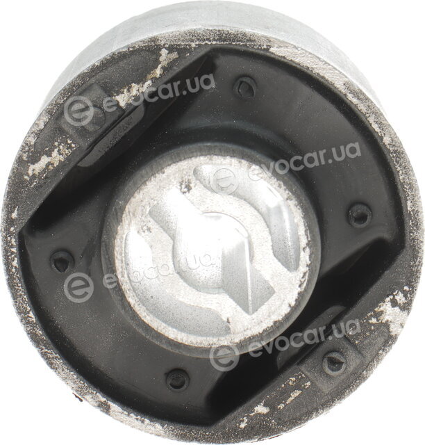 GSP 510919