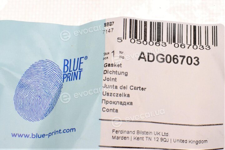 Blue Print ADG06703