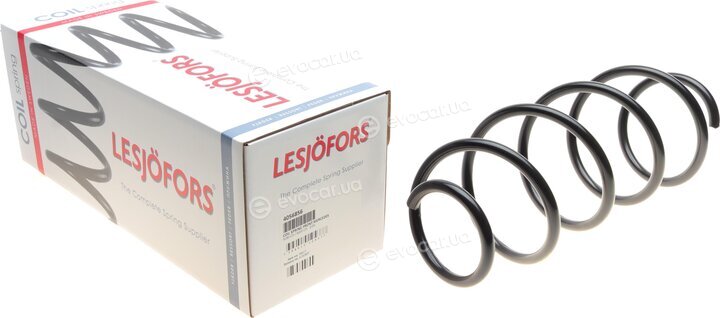 Lesjofors 4056856