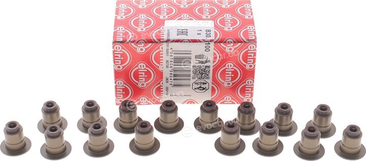 Elring B30.100