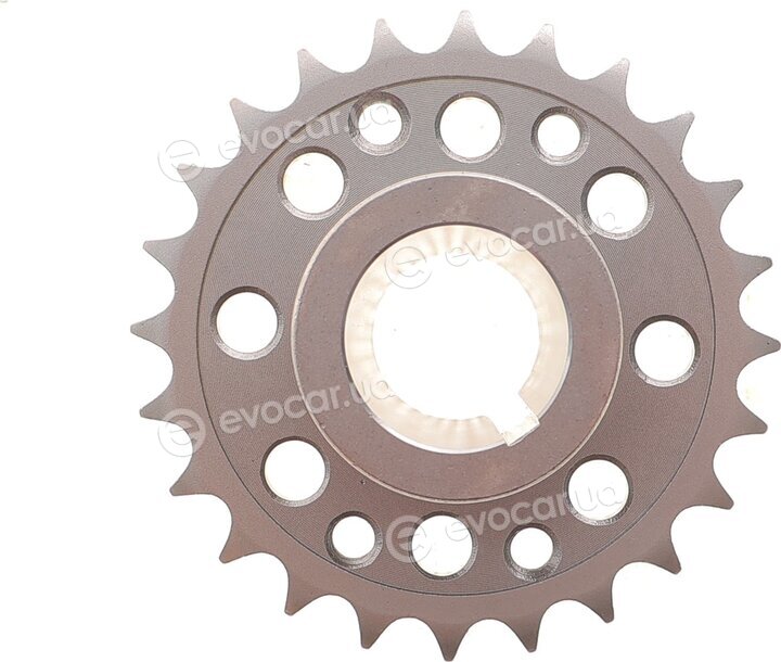 Motive TCK318