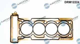 Dr. Motor DRM12224