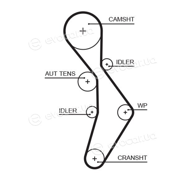 Gates K035604XS