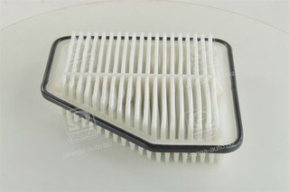 Champion CAF100920P