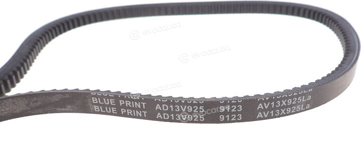 Blue Print AD13V925