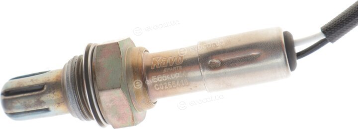 Kavo EOS-1014