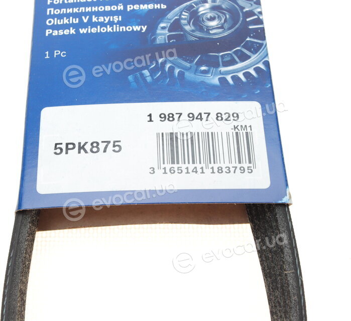 Bosch 1 987 947 829