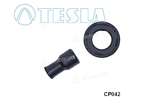 Tesla CP042