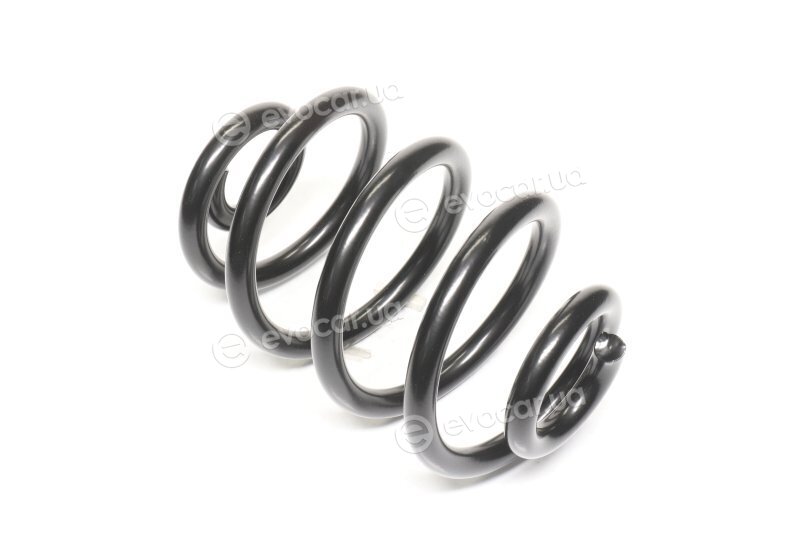Lesjofors 4208432