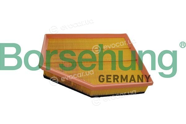 Borsehung B13061