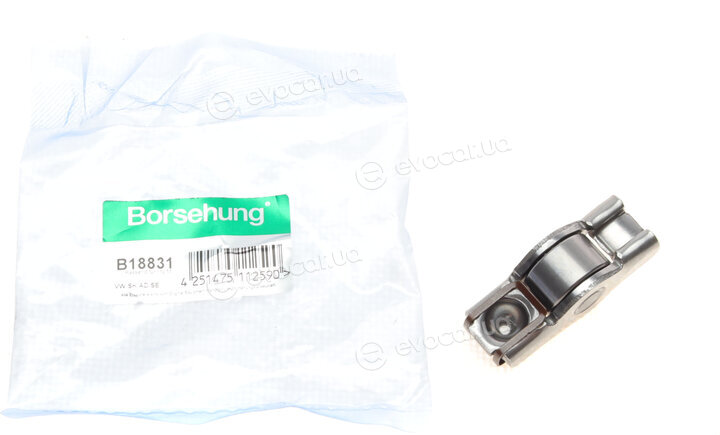 Borsehung B18831