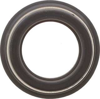 Elring 376.190