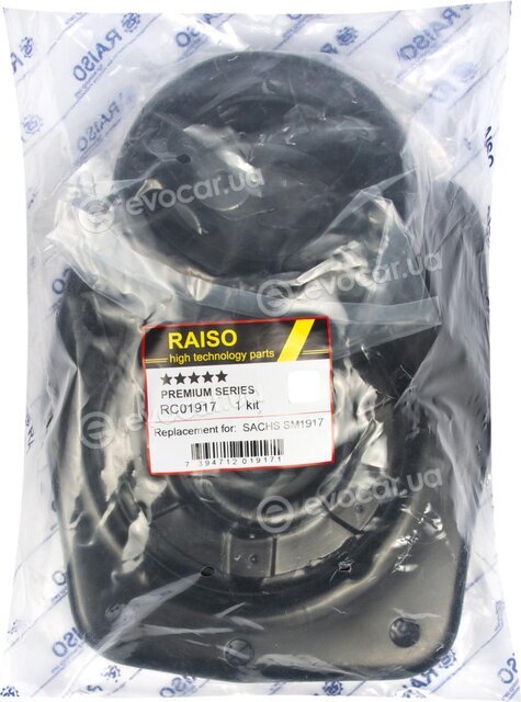 Raiso RC01917
