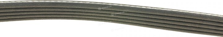 Dayco 5PK835