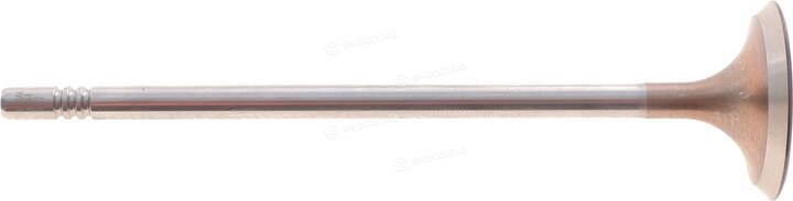 Borsehung B10327