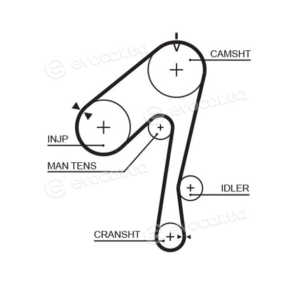 Gates K015320XS