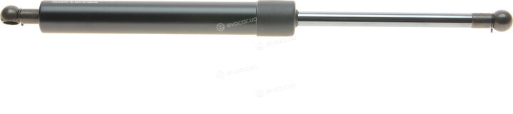 Lesjofors 8008406