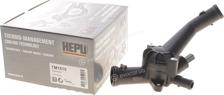 Hepu TM1519
