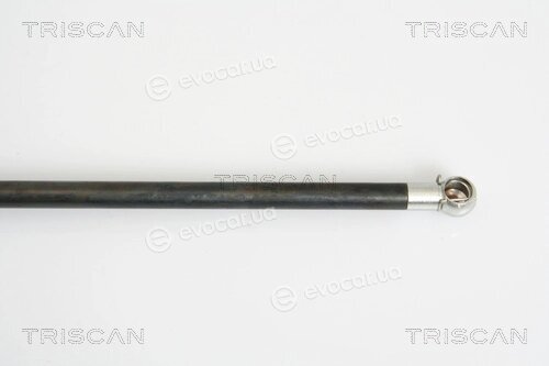 Triscan 8710 38225