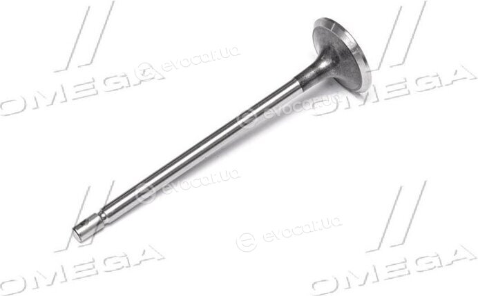 Gunes 4658