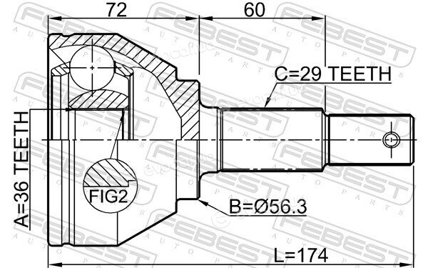 Febest 0210-T31M9
