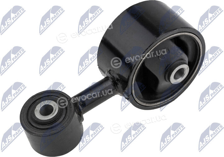 NTY ZPS-MS-005