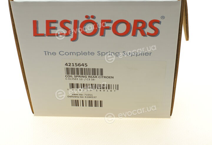 Lesjofors 4215645