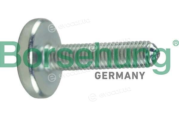Borsehung B12747