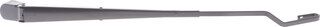 Solgy 307071