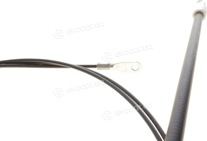 Cavo 5502 716