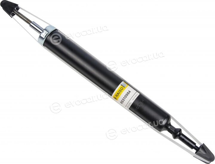 Raiso RS310984