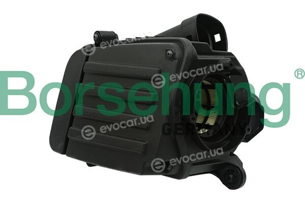 Borsehung B12845