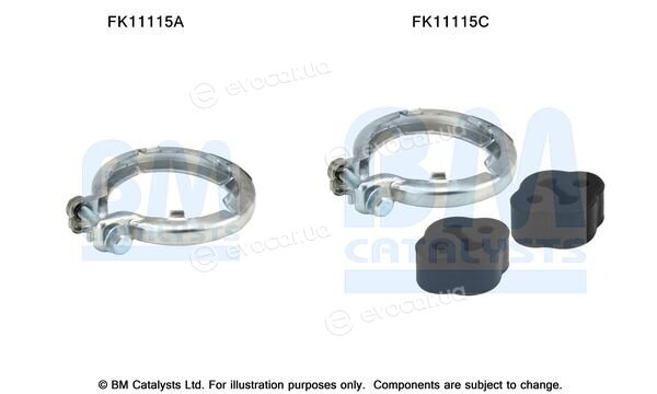 BM Catalysts FK11115