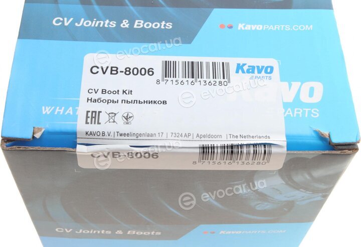 Kavo CVB-8006