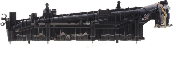 Solgy 114285