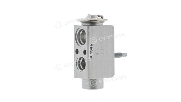 Mahle AVE 113 000P